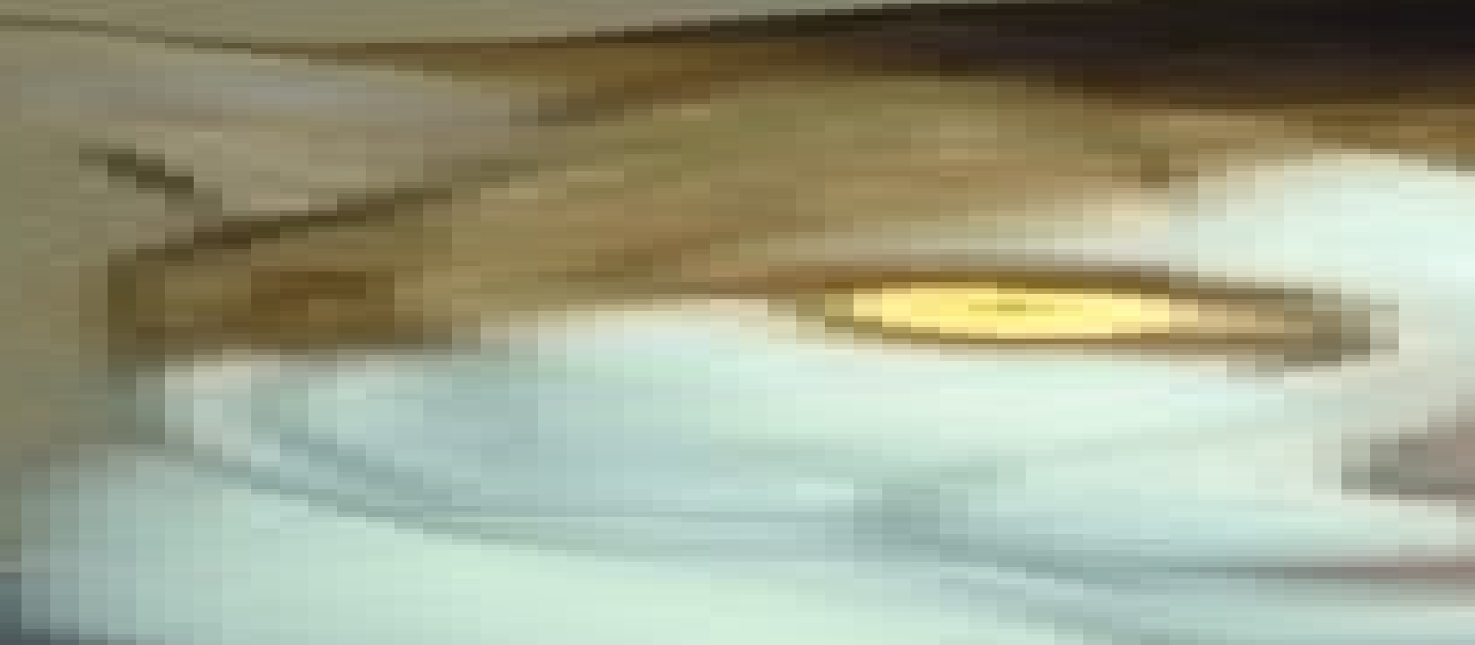 Incoherent Buisness Cat Jumpscare