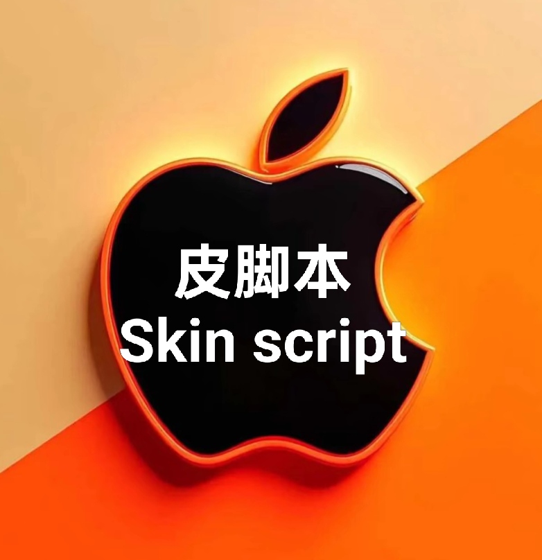 Skin script (Chinese)