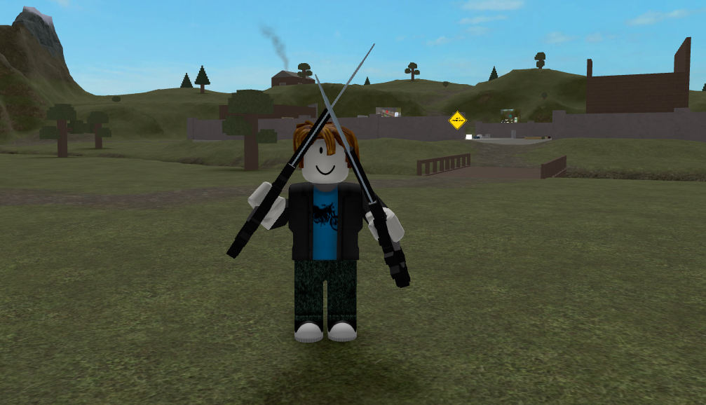 Dual Swords